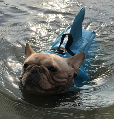 Life Jacket voor Honden