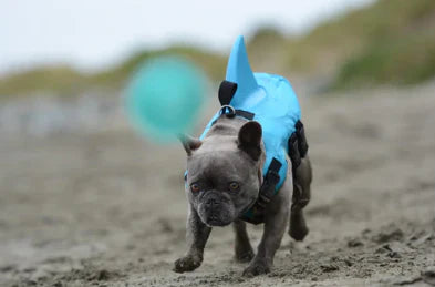 Life Jacket voor Honden
