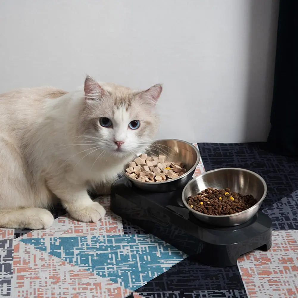 Dubbele Kattenbak van Roestvrij Staal met Standaard