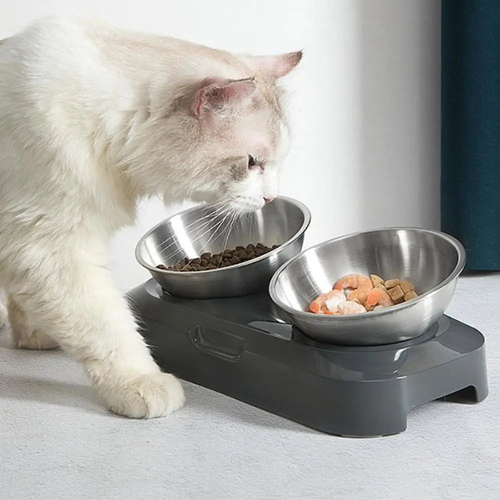 Dubbele Kattenbak van Roestvrij Staal met Standaard