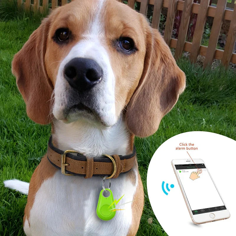 Gps-tracker voor Huisdieren