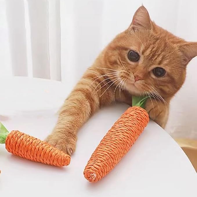 Kattenkrabwortel - Interactief Sisal Speeltje voor Speelse Huiskatten