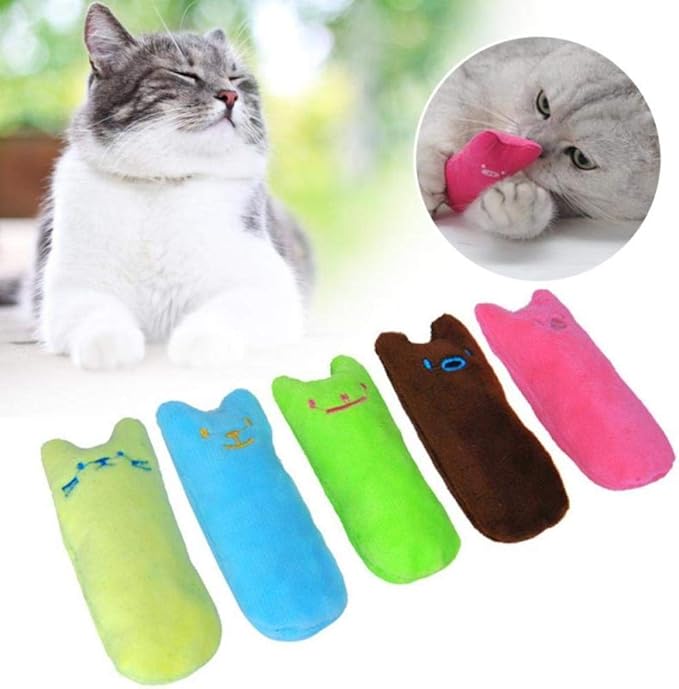 Gnashing Tanden Kattenkruid Speelgoed Grappig Interactief