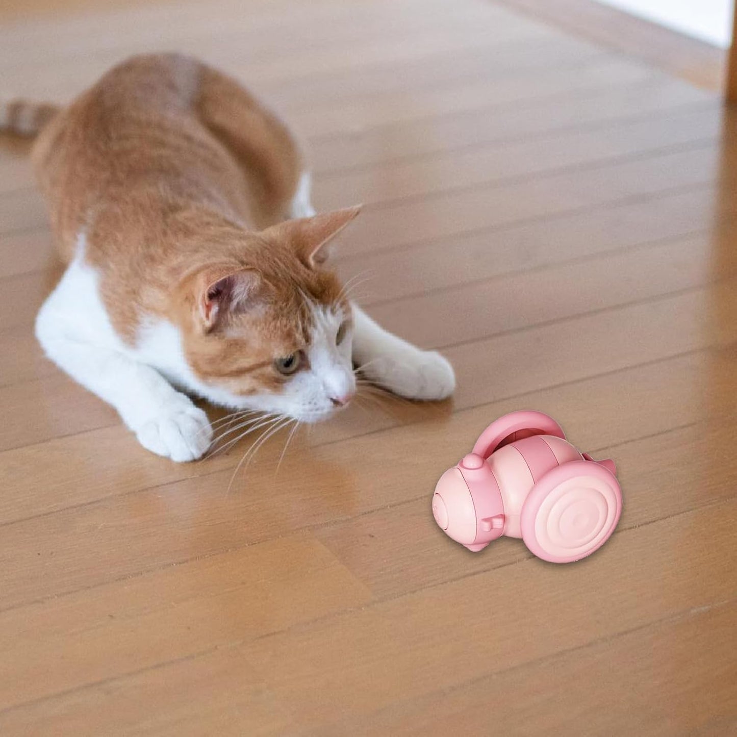 Kattenspeeltje met Afstandsbediening