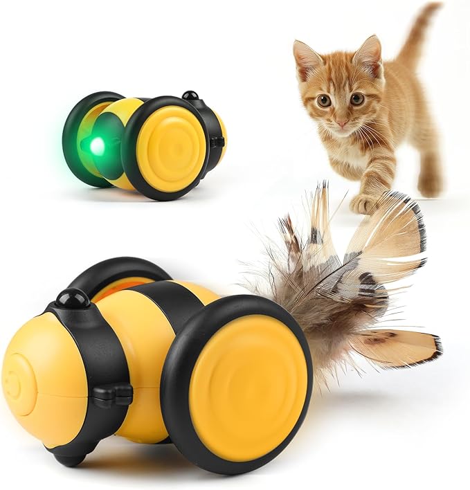 Kattenspeeltje met Afstandsbediening