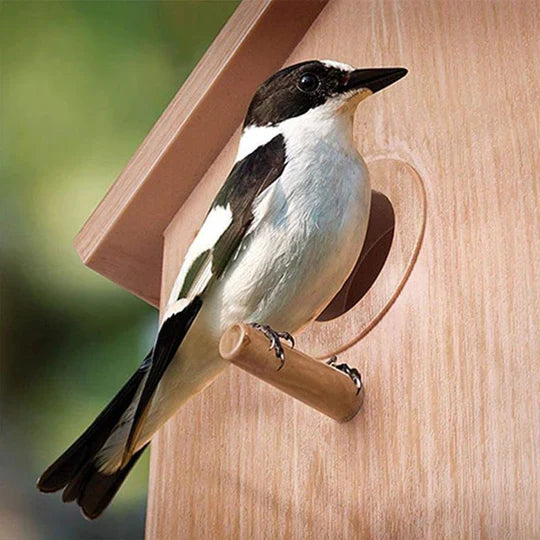 Vogelhuisje met Zuignappen