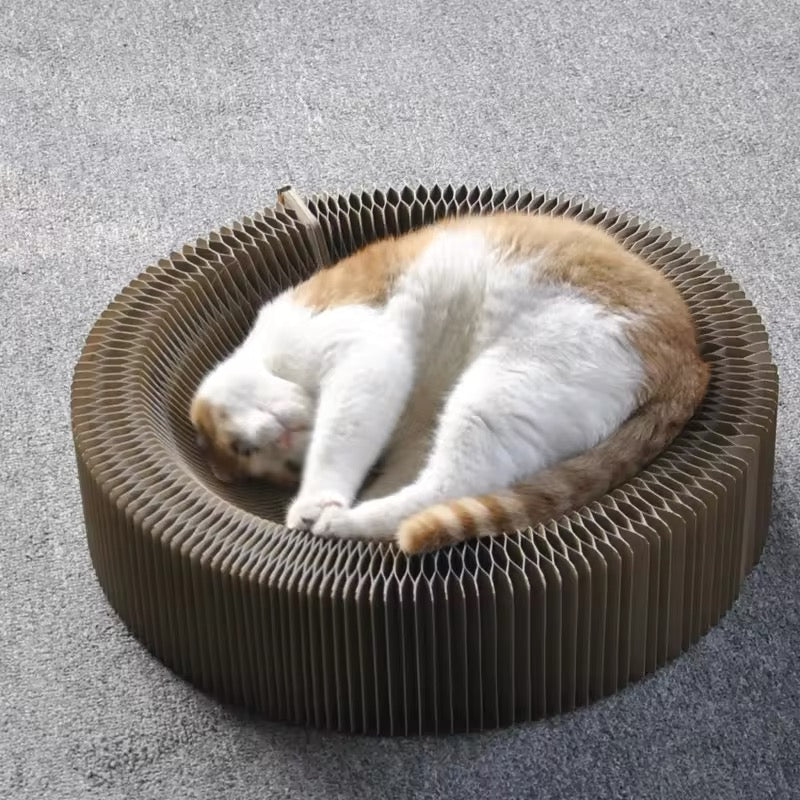 Magisch Speel- en Krabbed voor Katten