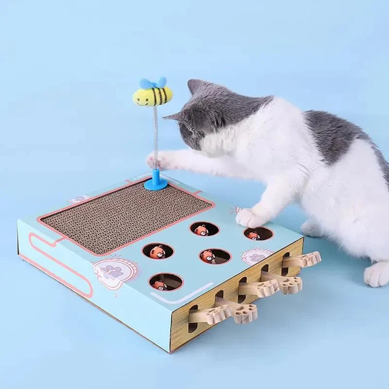 3in1 Speelbox voor Katten