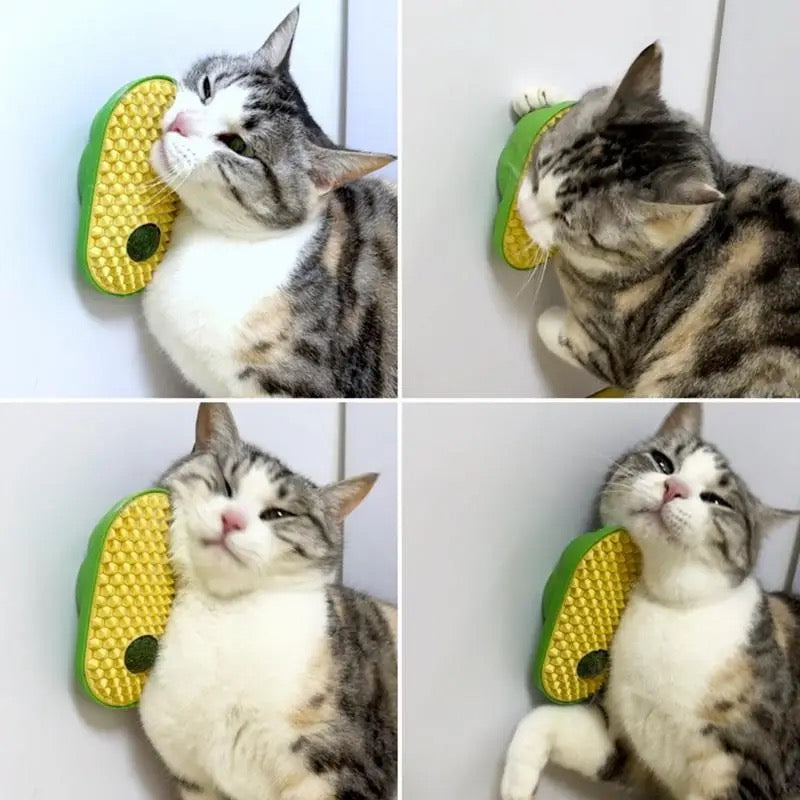 Kattenkruid met Borstel
