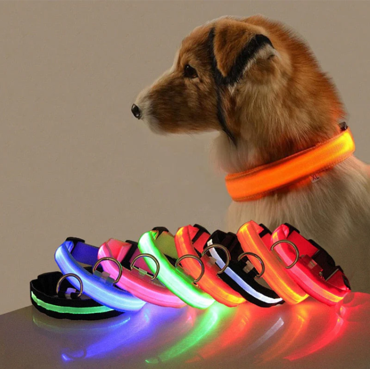 Halsband voor Honden met Led-lampjes