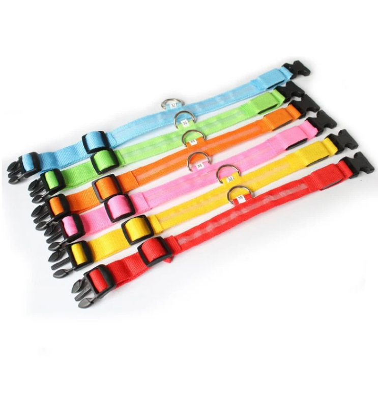 Halsband voor Honden met Led-lampjes