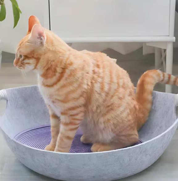 Gezellig Kattenbed van Vilt met Handgrepen