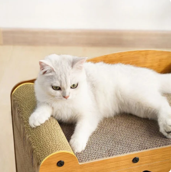 Kattenhuis met Krabgedeelte en Geïntegreerd Speelgedeelte