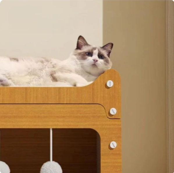 Kattenhuis met Krabgedeelte en Geïntegreerd Speelgedeelte