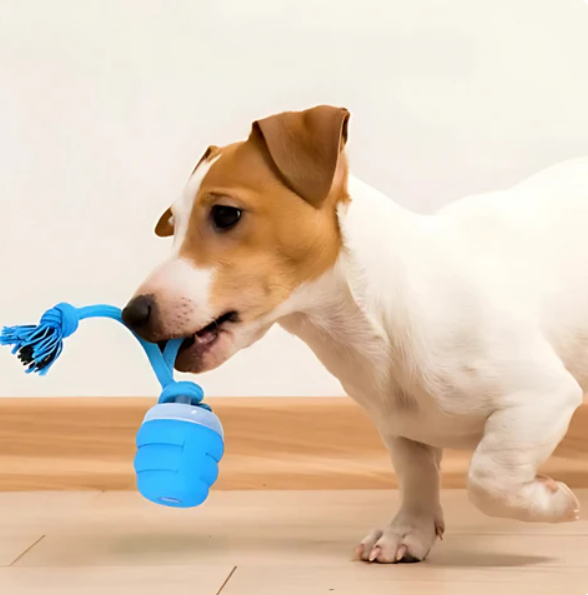 Interactief Kauwspeeltje voor Honden - Leuk om Te Bewegen en Te Denken