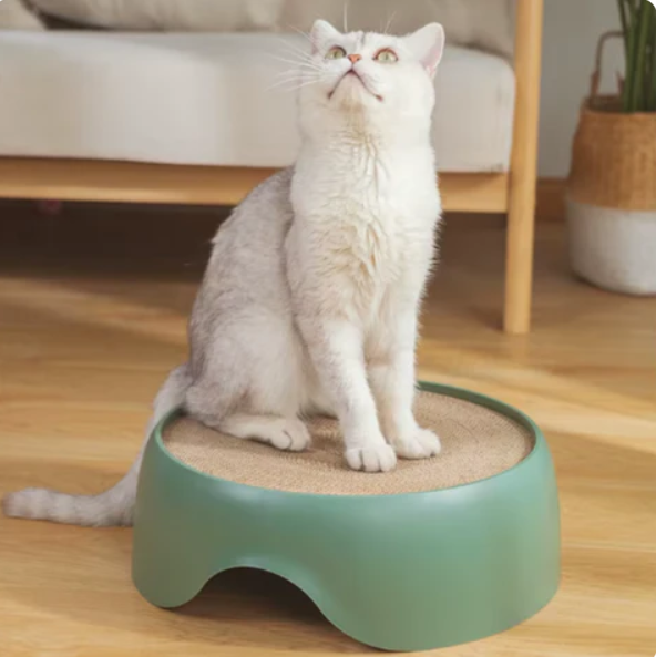 Multifunctioneel Kattenbed met Kraboppervlak en Ligkussen