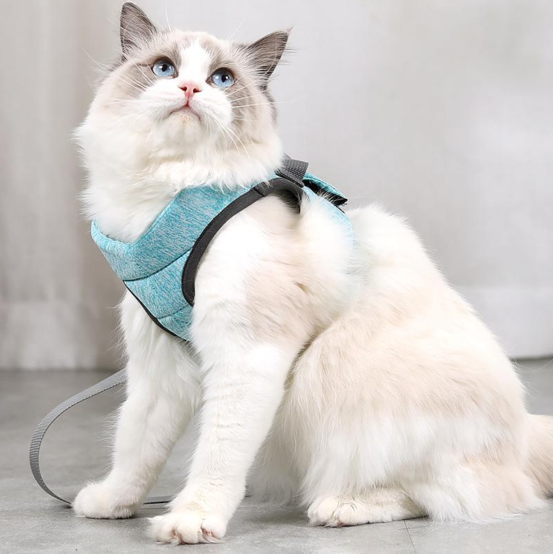 Kattentuig met Riem