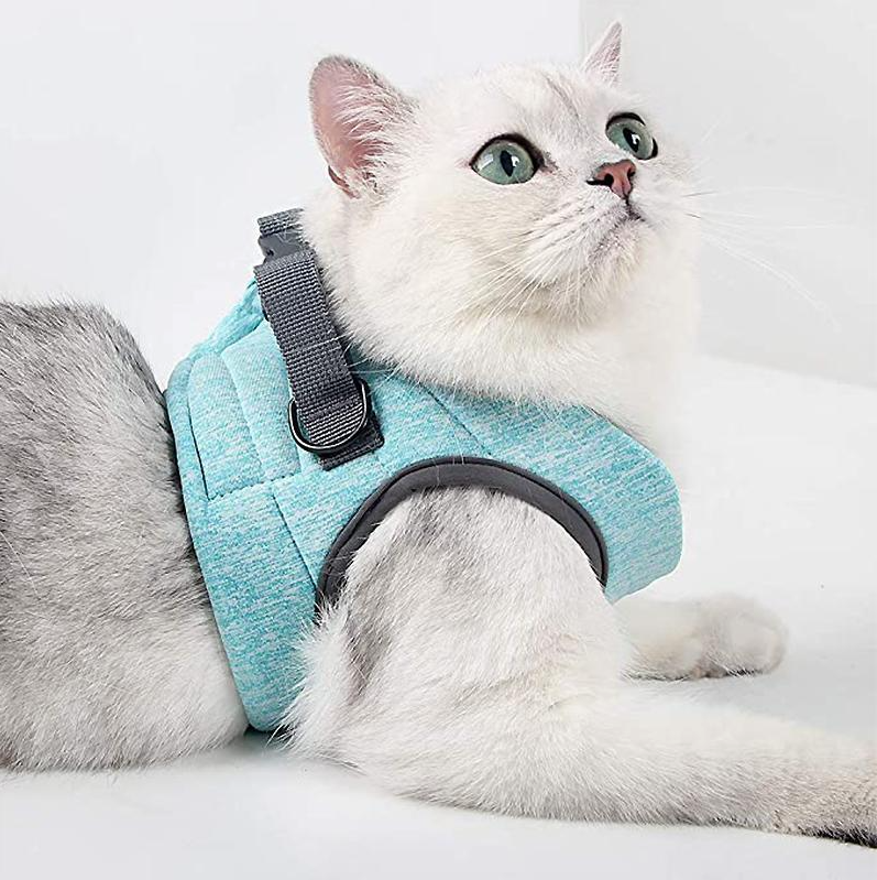 Kattentuig met Riem