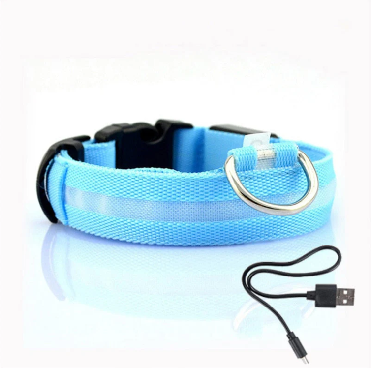 Halsband voor Honden met Led-lampjes