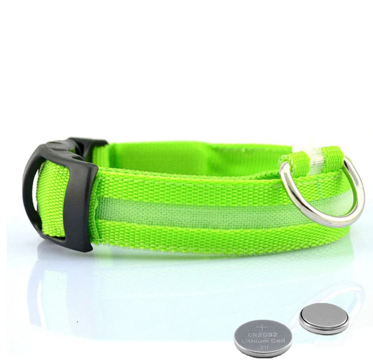 Halsband voor Honden met Led-lampjes