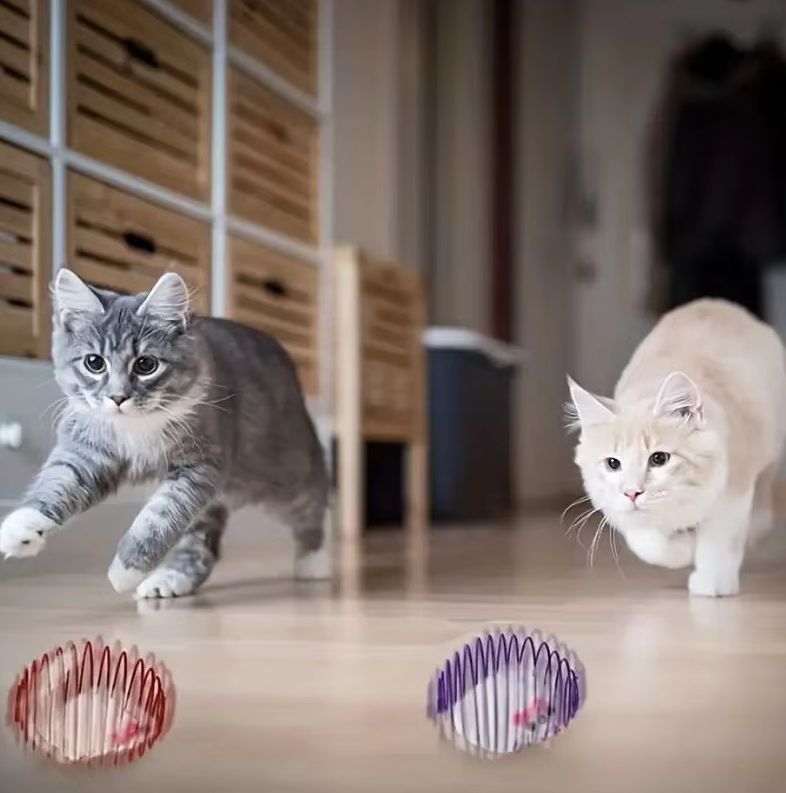 Muizen in Spiraalkooi - Prooispel voor Katten