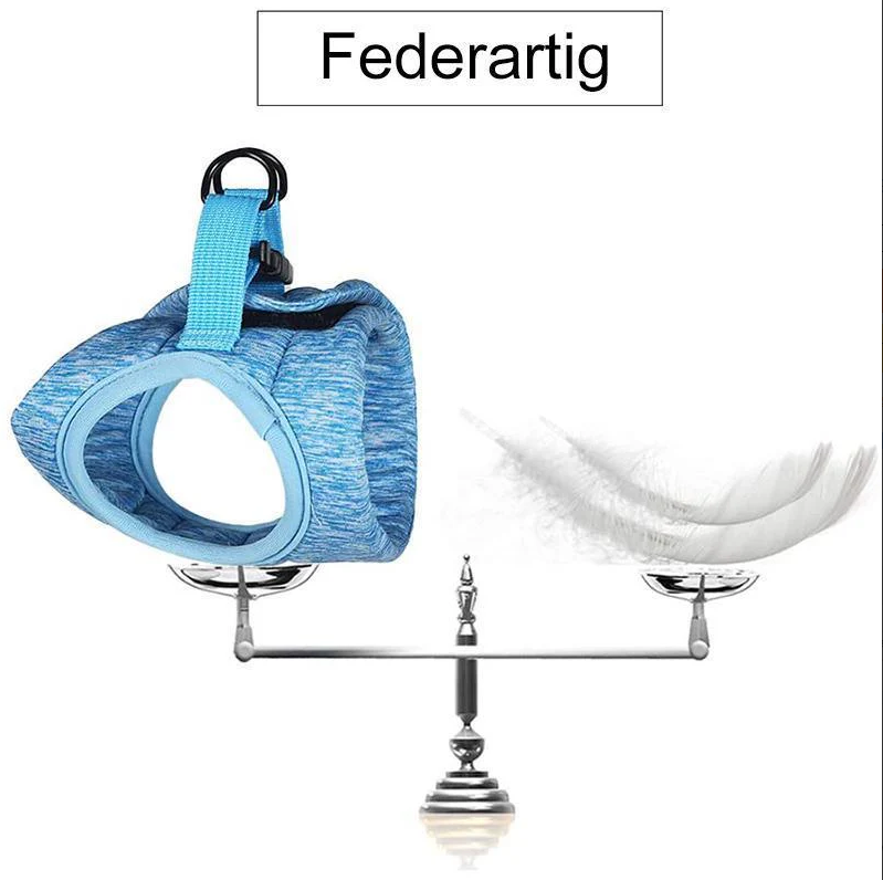 Kattentuig met Riem