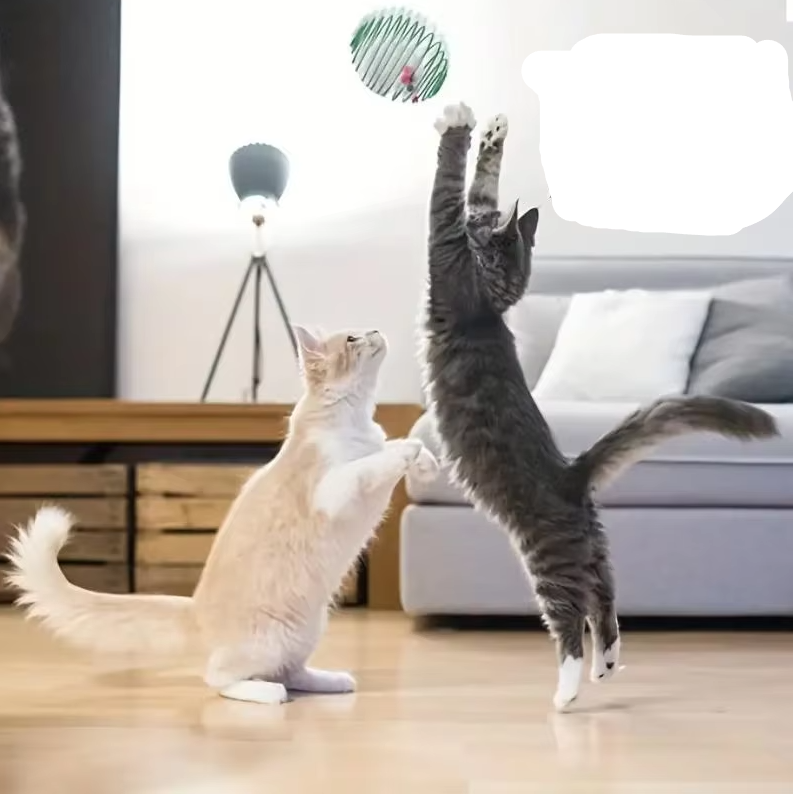 Muizen in Spiraalkooi - Prooispel voor Katten