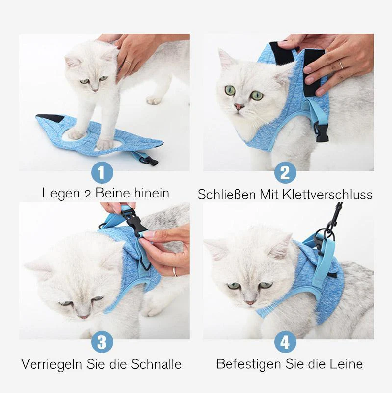 Kattentuig met Riem