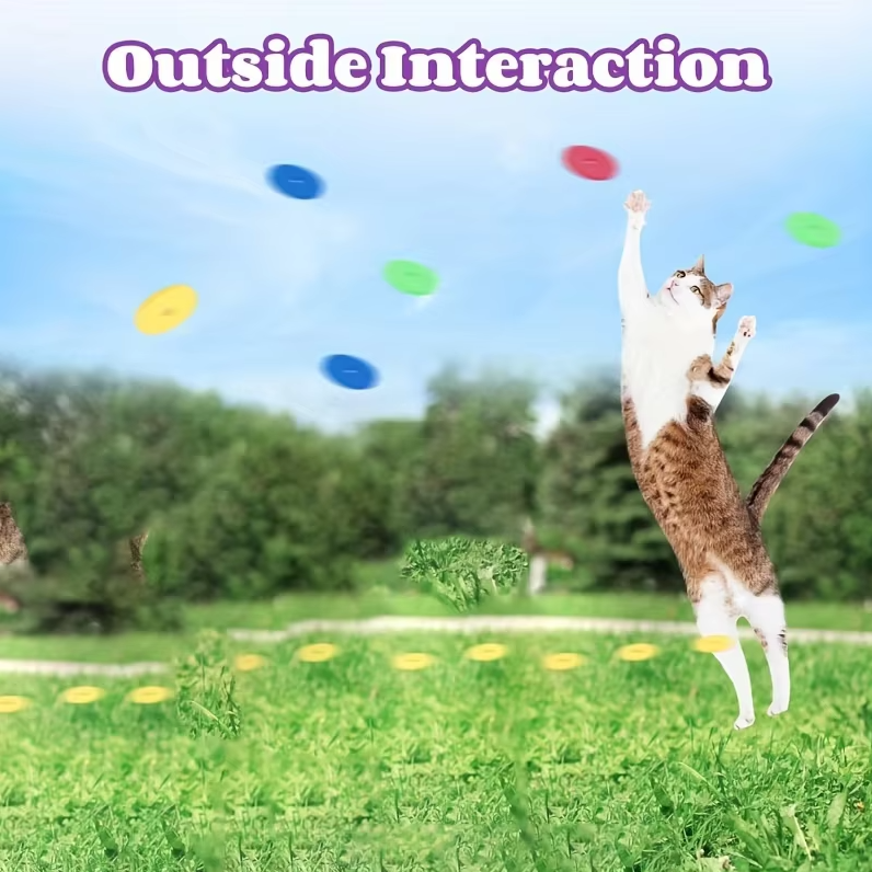 Worpgeweer - Interactief Kattenspeelgoed