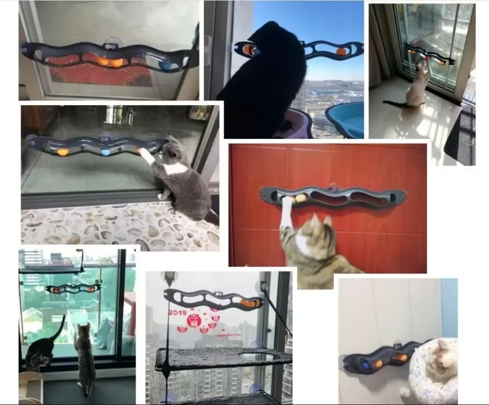 Raamkogelbaan - Spannend Kattenspeeltje