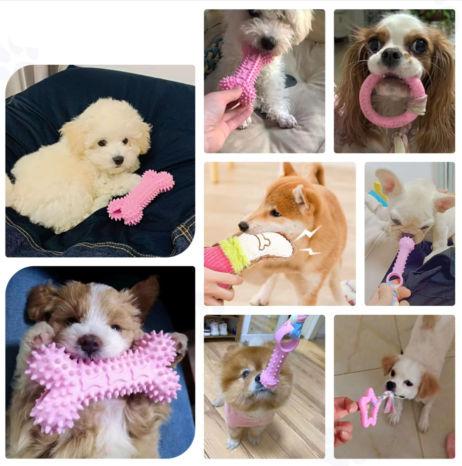 Puppy Speelgoedset - Bijtbestendig Pluche Kauwspeelgoed voor Honden