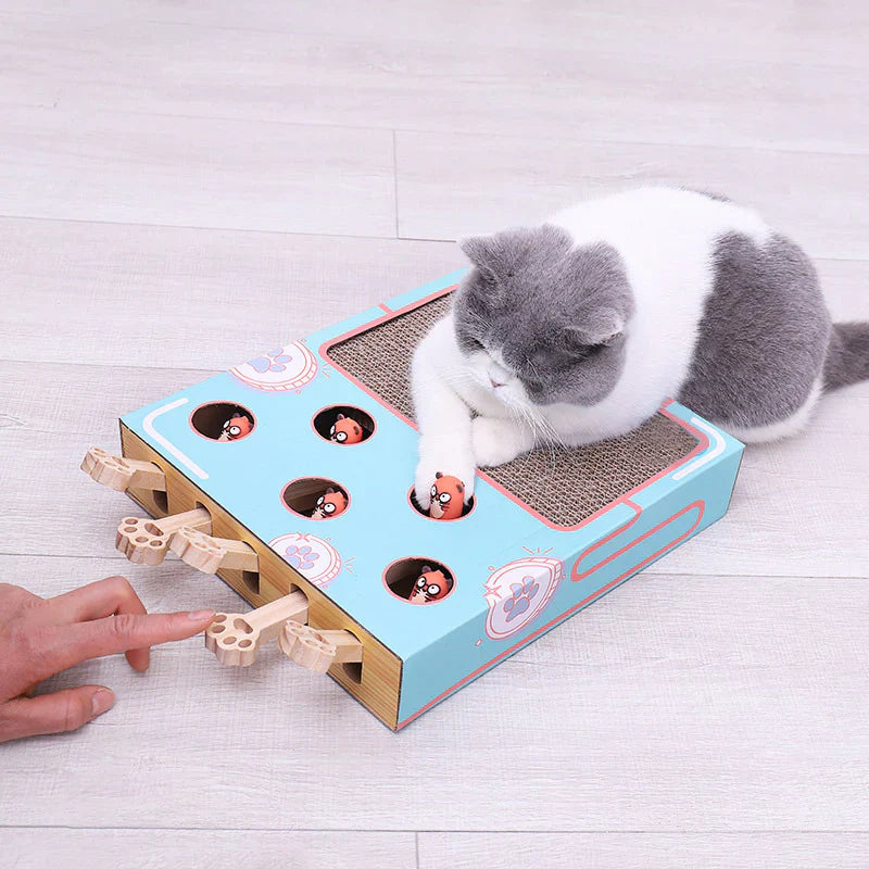 3in1 Speelbox voor Katten