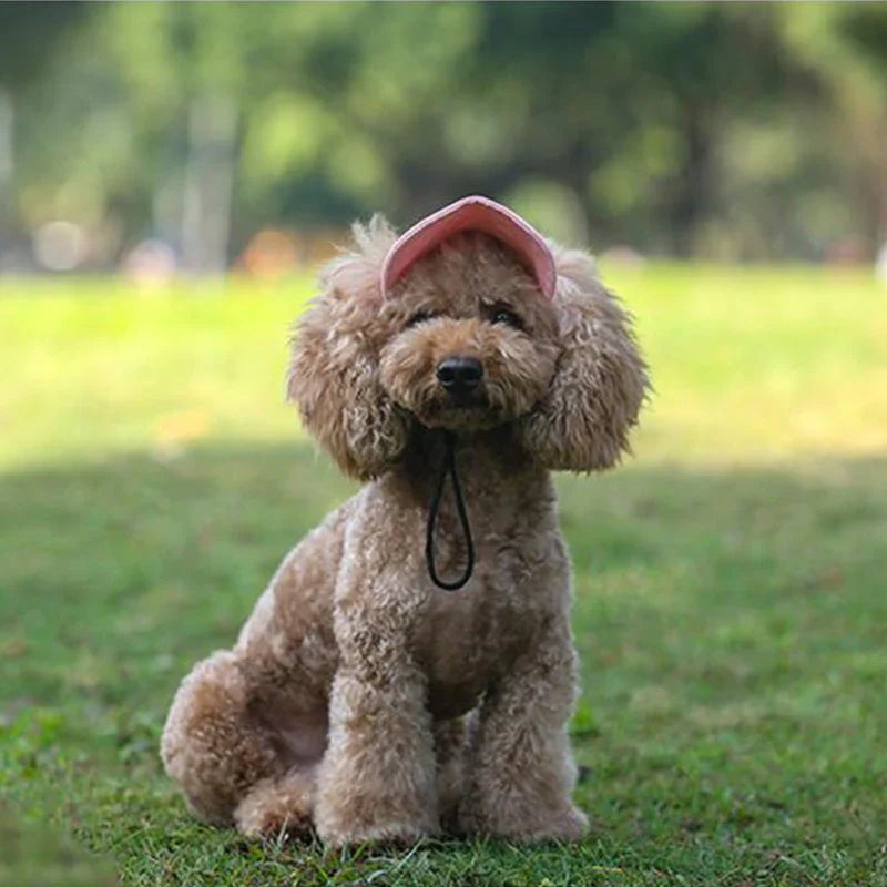 Uv-bescherming Honden Zonnehoed