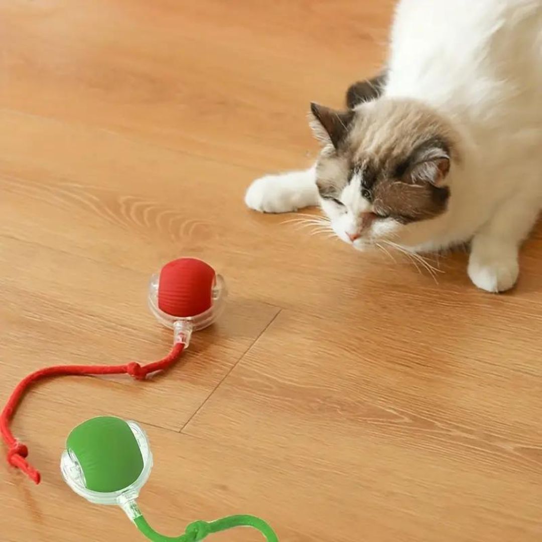 Interactieve Speelbal met Staart voor Katten