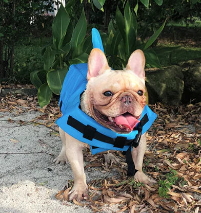 Life Jacket voor Honden