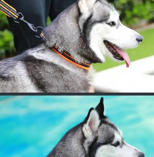 Truelove Reflector Hondenhalsband - Ademend en Verstelbaar voor Maximaal Comfort