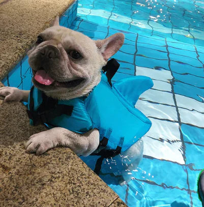Life Jacket voor Honden