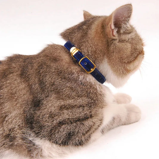 Velours Kattenhalsband met Gouden Gesp - Zacht , Verstelbaar en Elegant
