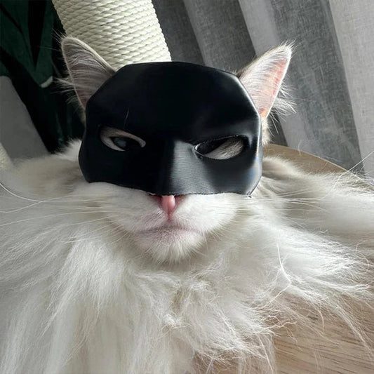 Heroïsch Kattenmasker voor Unieke Verschijningen