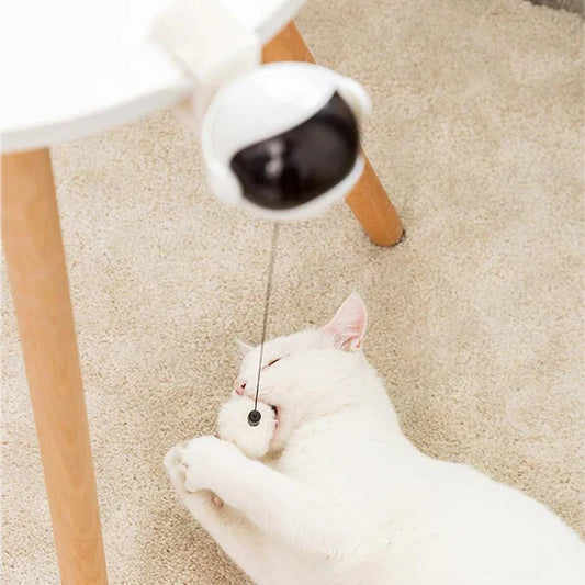 Automatisch Kattenspeeltje