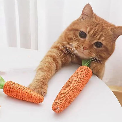 Kattenkrabwortel - Interactief Sisal Speeltje voor Speelse Huiskatten