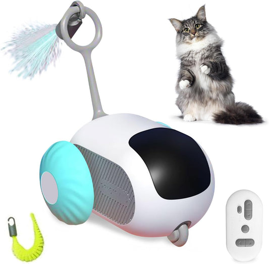Kattenspeeltje met Afstandsbediening