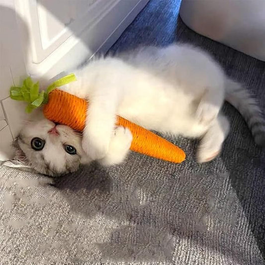 Kattenkrabwortel - Interactief Sisal Speeltje voor Speelse Huiskatten