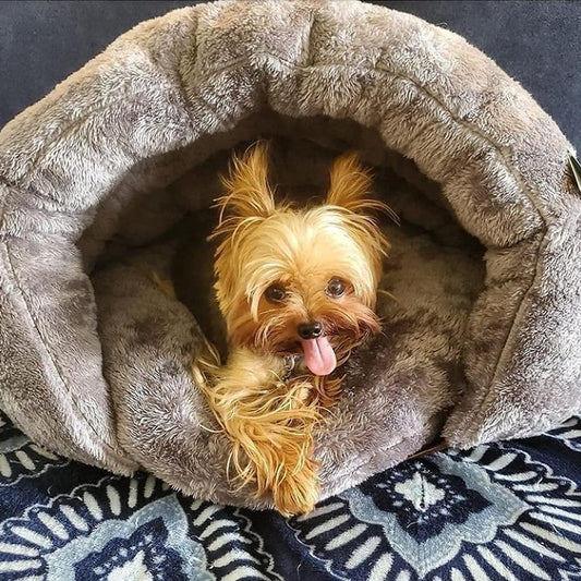 Huiselijk Grotbed voor Honden om in Te Ontspannen