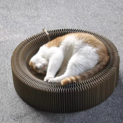 Magisch Speel- en Krabbed voor Katten