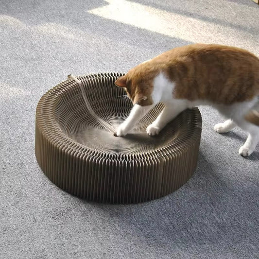 Magisch Speel- en Krabbed voor Katten