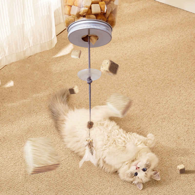 Hangend Traktatiespeeltje voor Katten
