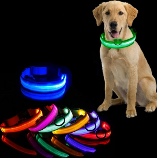 Halsband voor Honden met Led-lampjes
