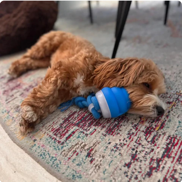 Interactief Kauwspeeltje voor Honden - Leuk om Te Bewegen en Te Denken