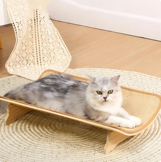 Stil Kattenbed met Ergonomische Krabmat